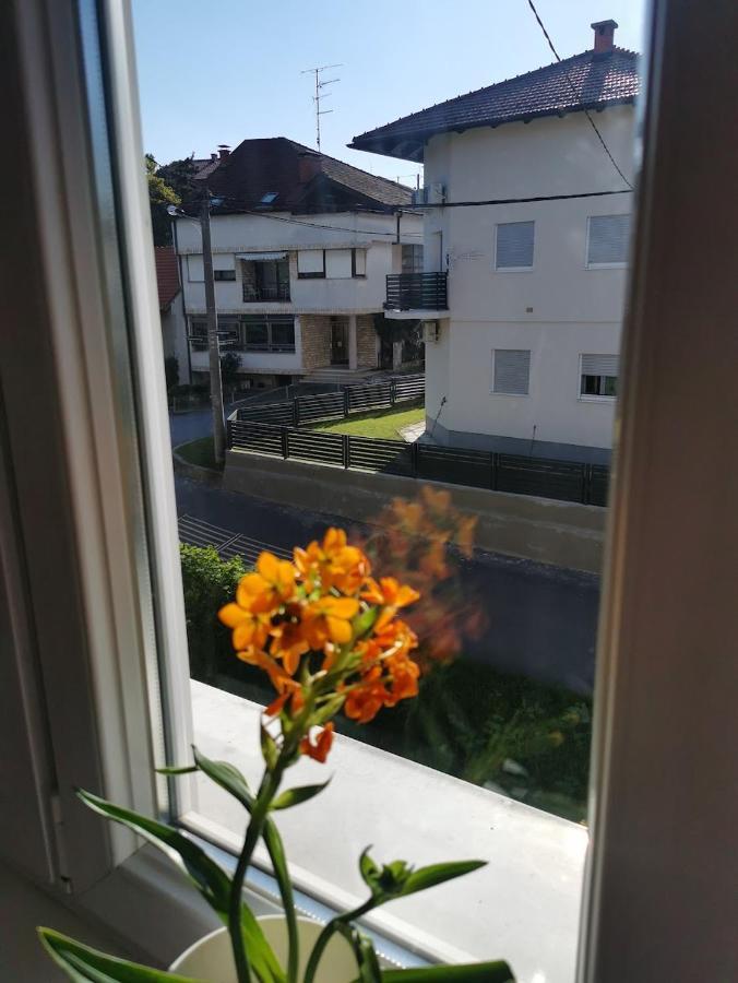 Drash Apartman *